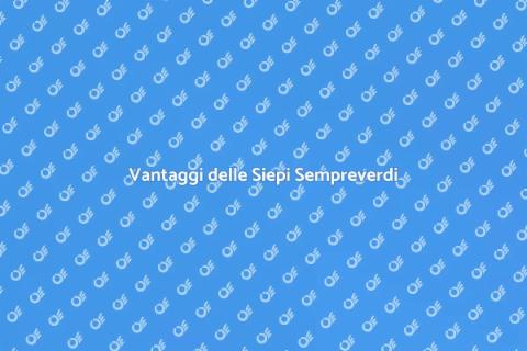 Piantare una Siepe Sempreverde