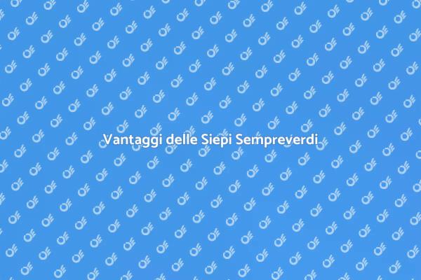 Siepi Sempreverdi per il Tuo Giardino