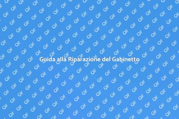 Come Riparare il Gabinetto in Casa