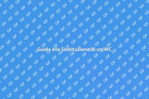Installare o Sostituire un WC