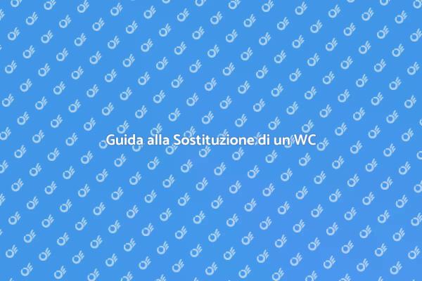 Installazione e Sostituzione WC Facile
