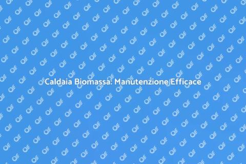 Manutenzione Preventiva Caldaia Biomassa