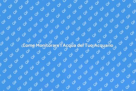 Controllo Acqua Acquario: Guida Essenziale