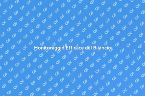 Controllo del Bilancio Aziendale