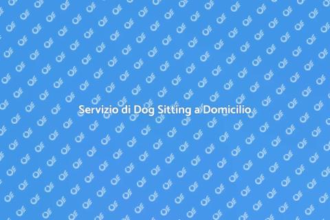 Dog Sitting a Domicilio: Servizio Top