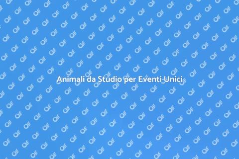 Noleggiare Animali da Studio per Eventi