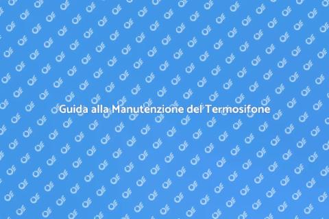 Manutenzione Termosifone Elettrico