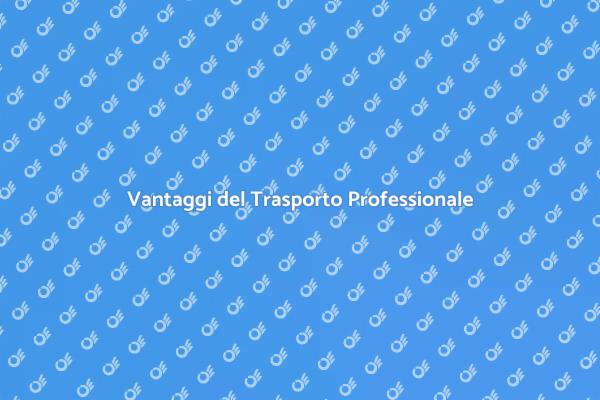 Perché Scegliere un Trasporto Professionale