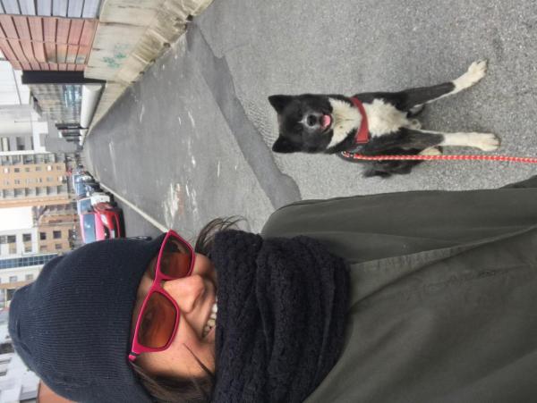 Chiara educatore cinofilo,dog e cat sitter - Foto 7