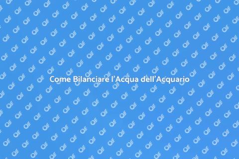 Mantenere l'Acqua dell'Acquario Bilanciata