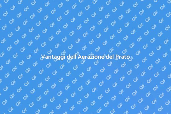 Aerazione del Prato: Perché è Importante
