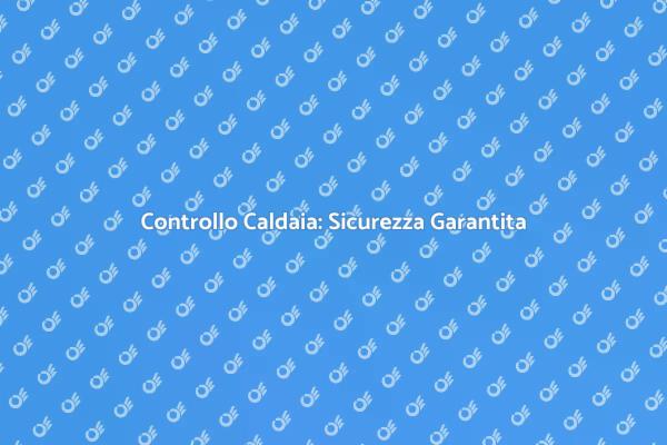 Controllo Periodico della Caldaia