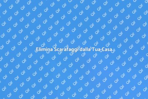 Sconfiggere gli Scarafaggi Efficacemente