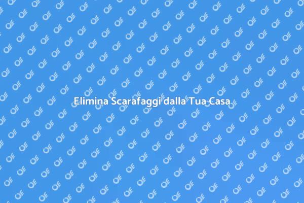 Scarafaggi: Soluzioni per la Tua Casa