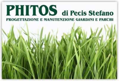 Phitos  - Foto 2
