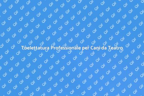 Toelettatura Cani Addestrati per Teatro