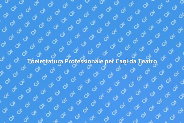 L'importanza della Toelettatura per Cani