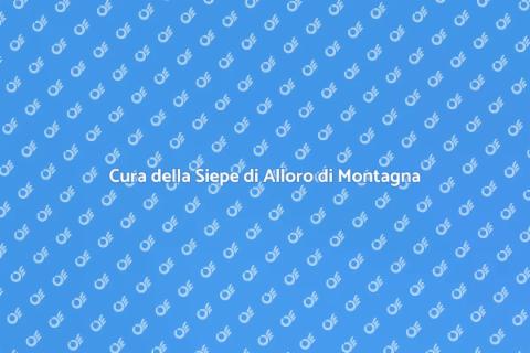 Mantenere Siepe di Alloro di Montagna