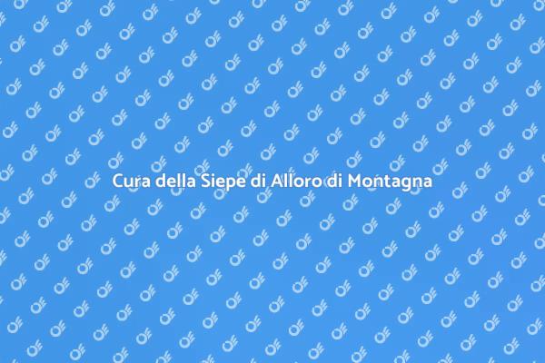 Manutenzione della Siepe di Alloro
