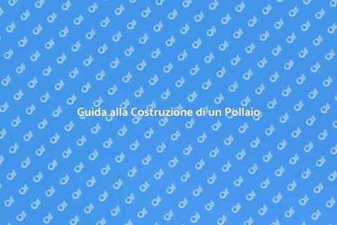Costruire un Pollaio: Guida Completa