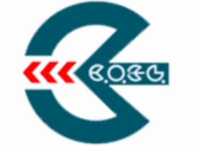 Coel Cancelli Automatici  - Foto 1
