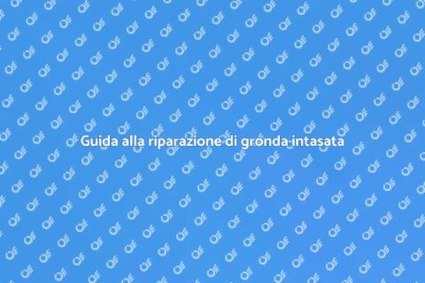 Riparare gronda intasata in 5 passaggi