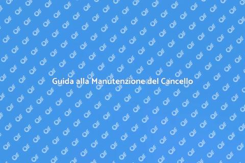 Manutenzione Cancello Automatico Essenziale