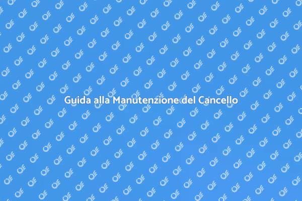 Come Curare il Tuo Cancello Automatico
