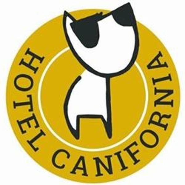 Hotel Canifornia pensione per cani  - Foto 1