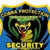 COBRA PROTECTION DI SCHIANO MARCO - Foto 1