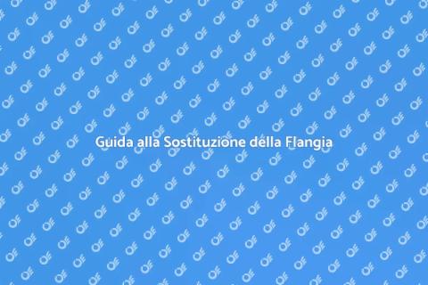 Sostituire la Flangia della Toilette