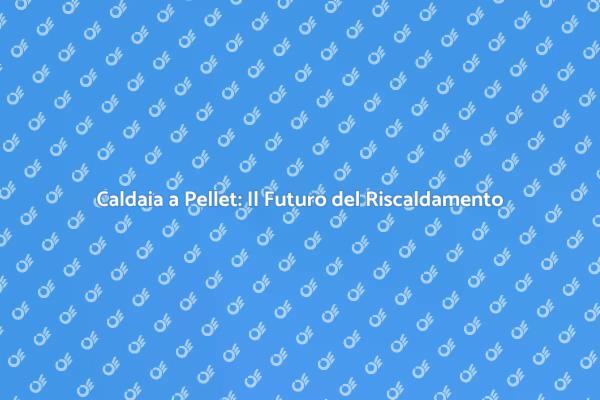 Caldaia a Pellet: Scegli il Comfort Sostenibile