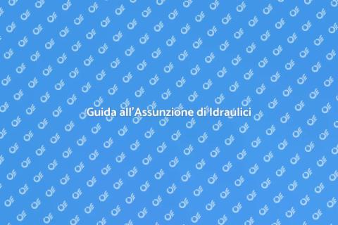 Assumere un Idraulico Professionista