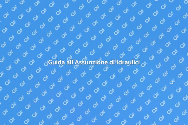 Perché Scegliere un Idraulico Professionista
