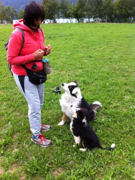 Lauretta Vicari Smiling Dogs - Foto 5