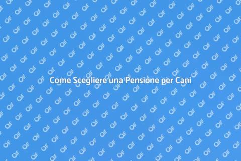 Portare il Cane in Pensione: Guida