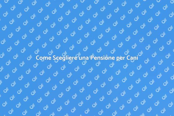 Pensione per Cani: Cosa Sapere