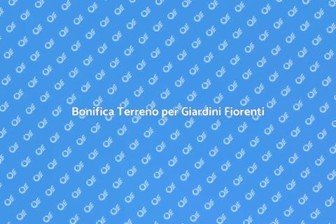 Pulizia e Bonifica del Terreno