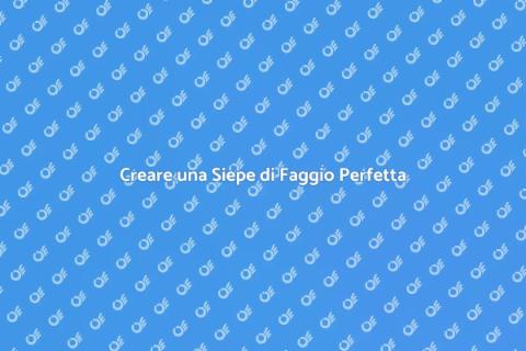 Siepe di Faggio: Progettazione Verde