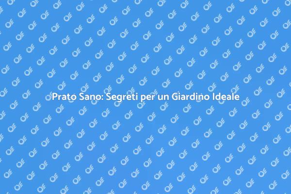 Prendersi Cura del Prato: I Tuoi Segreti