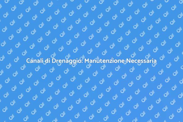 Proteggi la Tua Casa con Drenaggi Efficaci