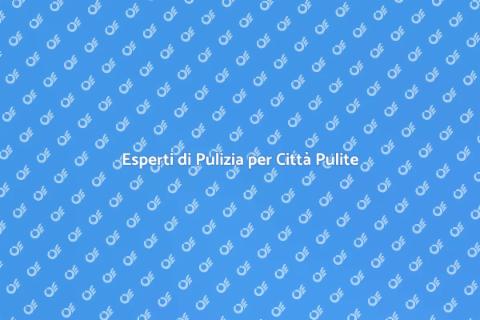 Pulizia Urbana: Esperti al Tuo Servizio