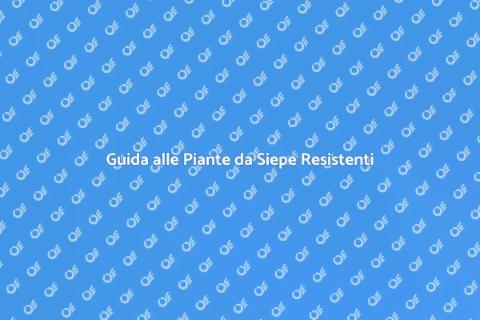 Piante da Siepe Resistenti alla Siccità