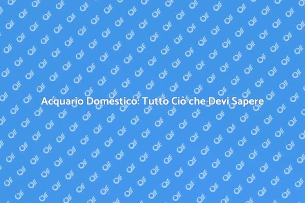 Creare un Acquario di Successo