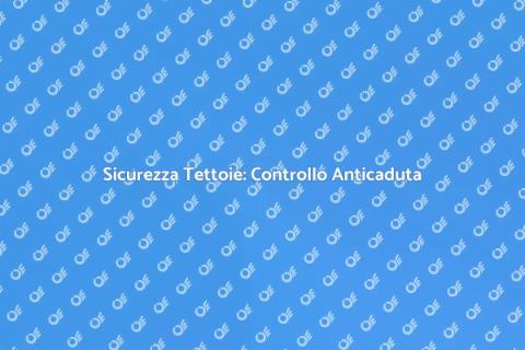 Controllo Annuale Sistemi Anticaduta