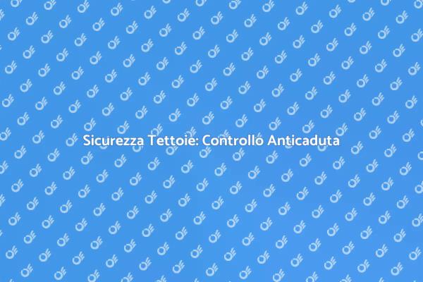 Importanza Sicurezza Tettoie Anticaduta