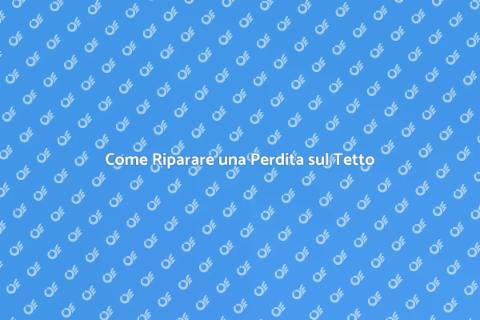 Riparare una Perdita sul Tetto