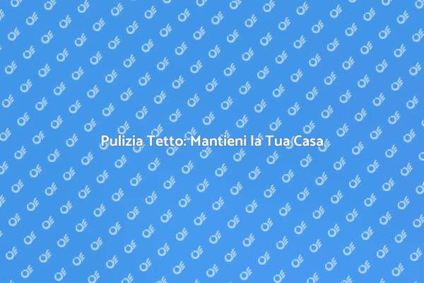 Rimuovi la Sporcizia dal Tetto Oggi!