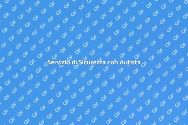 Viaggia Sicuro con il Nostro Autista