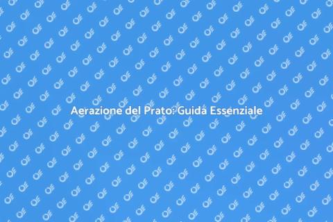 Aerare il Prato per Salute e Bellezza
